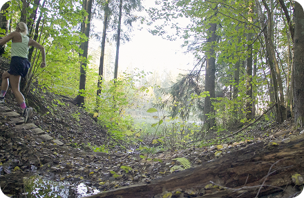 Leigo Trail 18 km rada